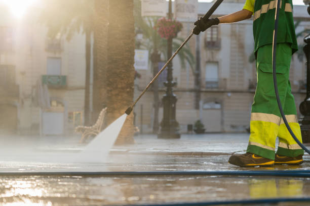 Best Fence Cleaning  in Naples, FL
